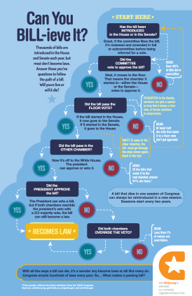 Can You BILL-ieve It How a Bill Becomes a Law Infographic